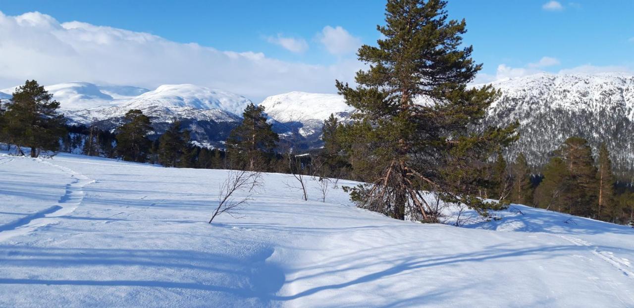 Stalheim Fjord Og Fjellhytter Eksteriør billede