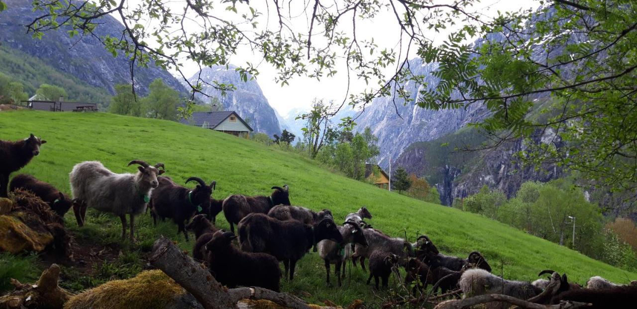 Stalheim Fjord Og Fjellhytter Eksteriør billede