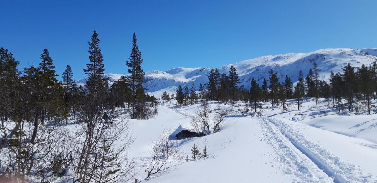 Stalheim Fjord Og Fjellhytter Eksteriør billede